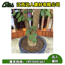 花卉園林陶粒好不好用？